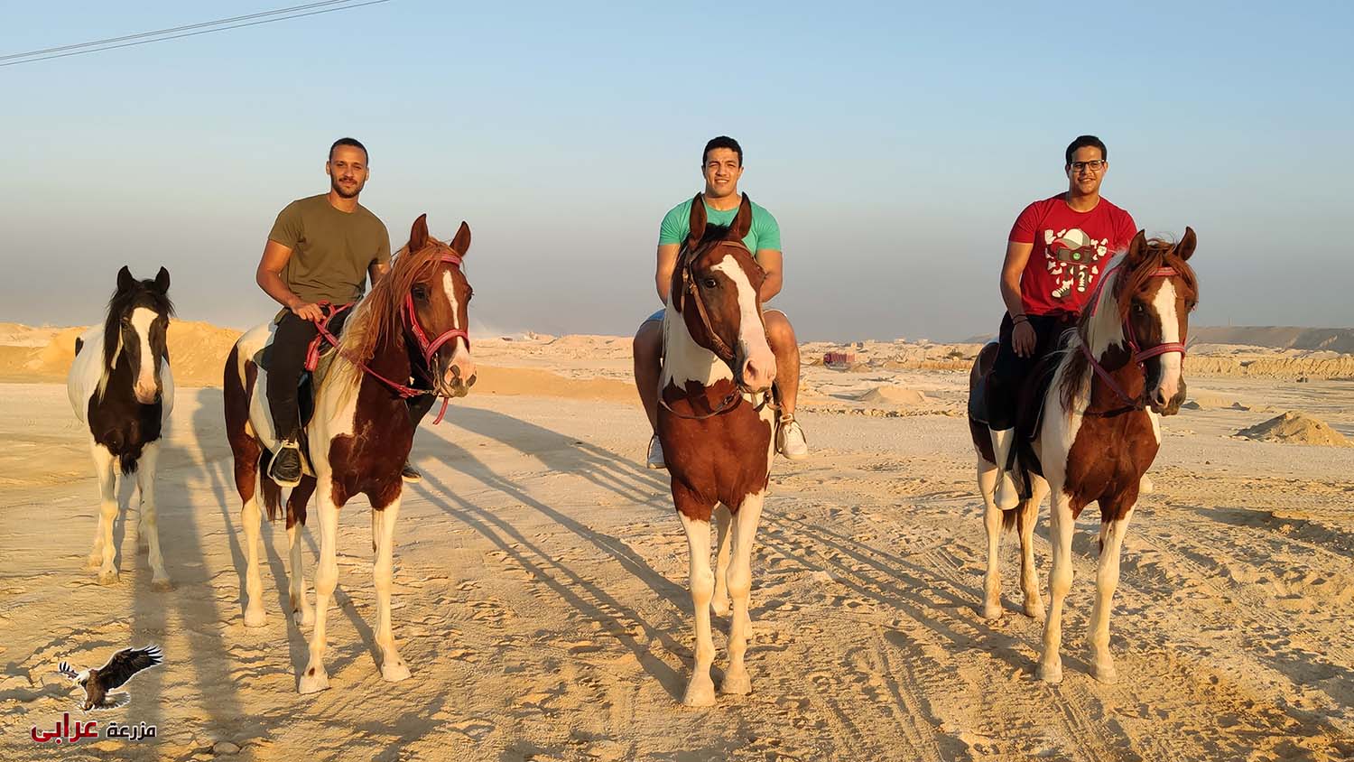 ركوب خيل في القاهرة - مزرعة عرابي للخيول المميزة