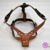 ⁦Leather vest⁩ - الصورة ⁦4⁩