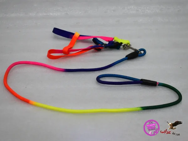 Rainbow Dog Collar