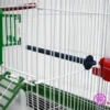 ⁦قفص عصافير 3 اكالة وسط⁩ - الصورة ⁦3⁩