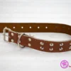 ⁦طوق جلد كبير 70cm L&XL⁩ - الصورة ⁦2⁩