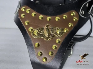 leather harness L & XL