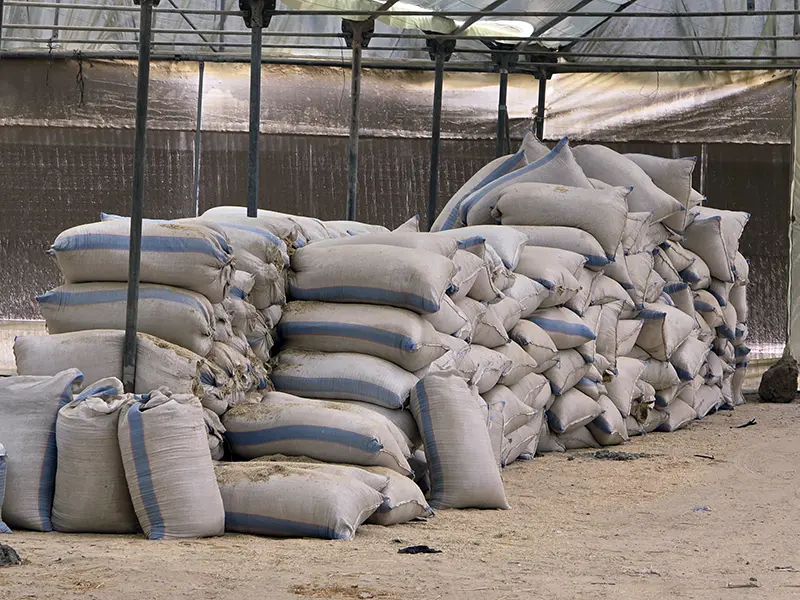 دريس حجازي مفروم شكاير - مزرعة عرابي للبيع