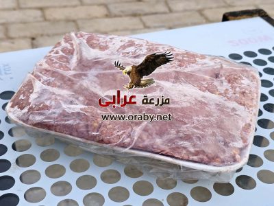 اكل كلاب فريش ني - dogs fresh food - مزرعة عرابي - oraby farm